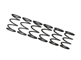 3RACING F113 Side Spring Set - F113-307