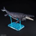 alt="Bandai 5065321 - Plannosaurus Mosasaurus #04" title="Bandai 5065321 - Plannosaurus Mosasaurus #04"