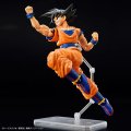 alt="Bandai 5063353 - Figure-rise Standard Son Goku (NEW Spec Ver.)" title="Bandai 5063353 - Figure-rise Standard Son Goku (NEW Spec Ver.)"