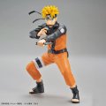 alt="Bandai 5065119 - Uzumaki Naruto Entry Grade #12" title="Bandai 5065119 - Uzumaki Naruto Entry Grade #12"