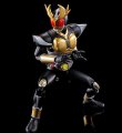 alt="Bandai 5061799 - Masked Rider Agito Ground Form Figure-rise Standard" title="Bandai 5061799 - Masked Rider Agito Ground Form Figure-rise Standard"