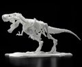 alt="Bandai 5061659 - Tyrannosaurus Dinosaur Model Kit Limex Skeleton" title="Bandai 5061659 - Tyrannosaurus Dinosaur Model Kit Limex Skeleton"