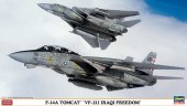 Hasegawa 02040 - 1/72 F-14A Tomcat VF-211 Iraq Freedom