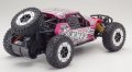 alt="Kyosho 34401T5 - 1/10 Axxe Type 5 Pink with KT-231P EP 2WD Buggy Car EZ-B R/S Readyset" title="Kyosho 34401T5 - 1/10 Axxe Type 5 Pink with KT-231P EP 2WD Buggy Car EZ-B R/S Readyset"