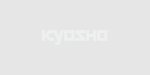 Kyosho MZW413B - Hard Fluorine Coat 4.7mm Ball (MR-03)