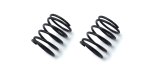 Kyosho W5307-29B - Spring (1.4x3.50x20/2.6/2pcs)