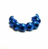 RACEOPT Aluminium Screw 8pcs, 3 x 4mm (Round Head) -Blue (RO-ABH3X4T-B)