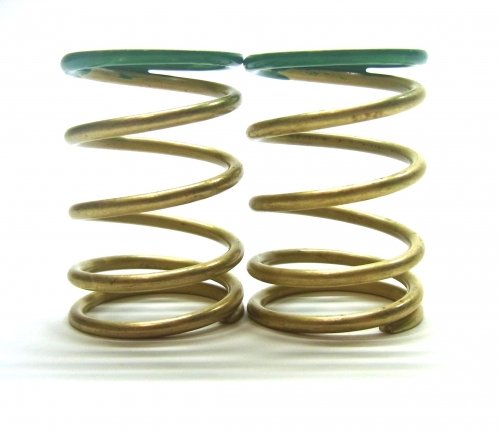 RACEOPT 1:8 GT Progressive Dynamic Spring -High Response (Green: T3.2~3.8, 2pcs) (RO-GT-PDS-HR-32~38)