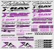 XRAY #397313 Sticker For Body - PURple